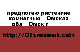 предлогаю растениие комнатные - Омская обл., Омск г.  »    